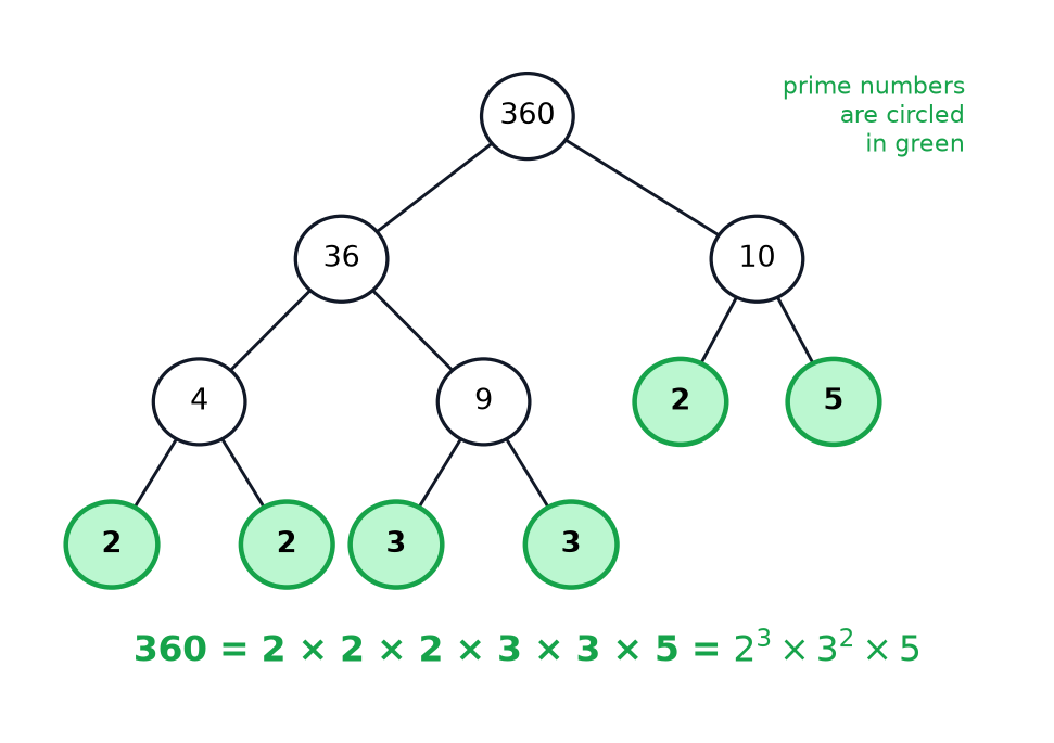 A factor tree breaking 360 down into the prime factors 2, 2, 2, 3, 3 and 5.
