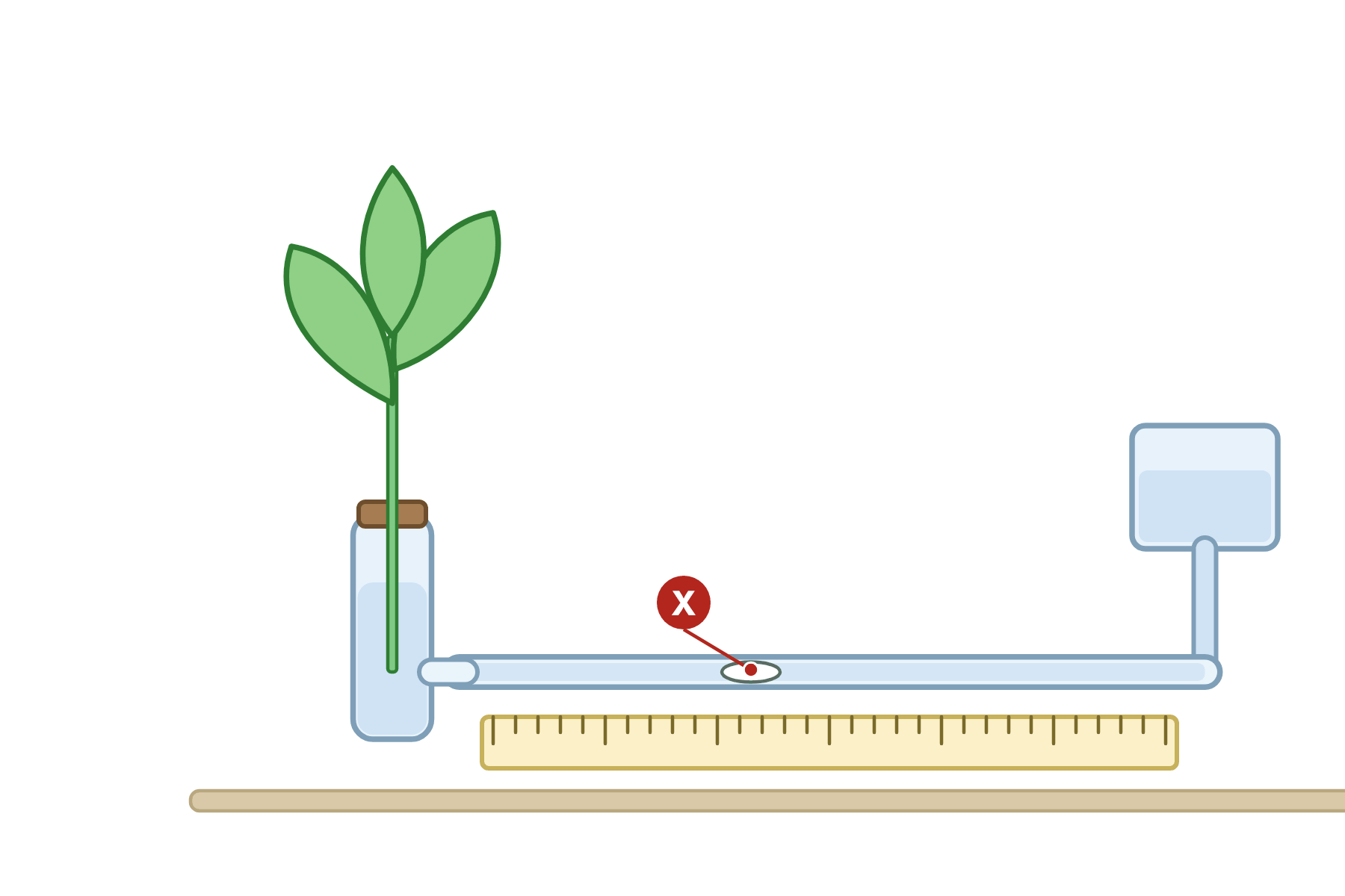 A potometer with a pointer marked X to the air bubble.