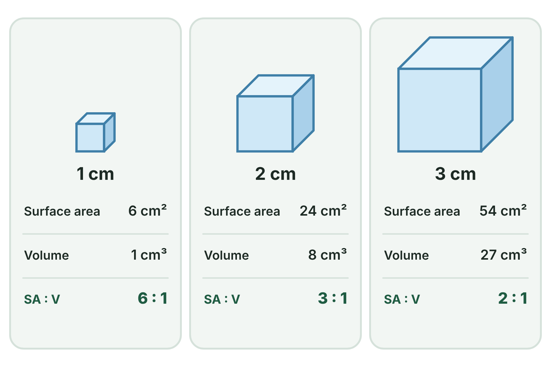 Three cubes with sides 1 cm, 2 cm and 3 cm, with their surface areas, volumes and surface area to volume ratios of 6 to 1, 3 to 1 and 2 to 1.