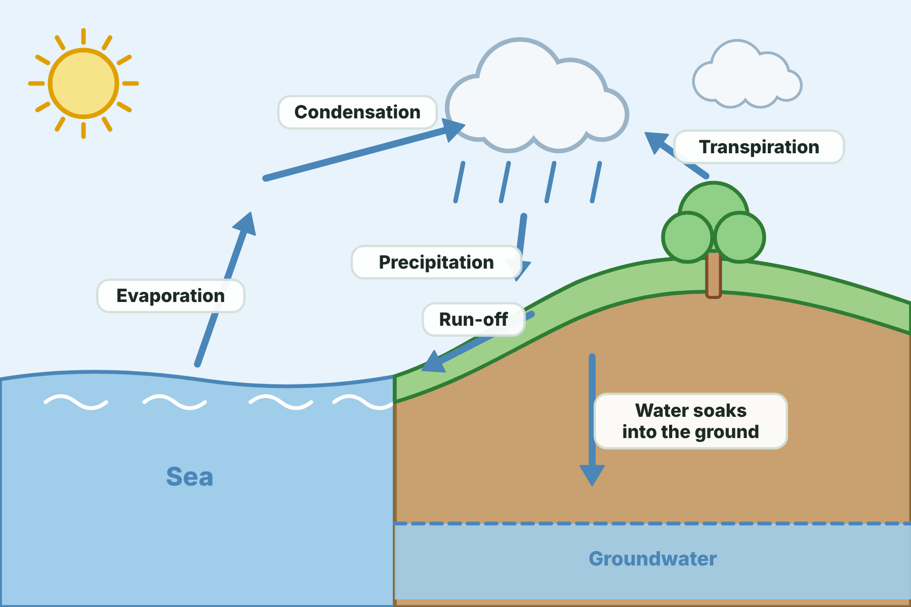 The water cycle with evaporation from the sea, transpiration from plants, condensation into clouds, precipitation, run-off to the sea, and water soaking into the ground.