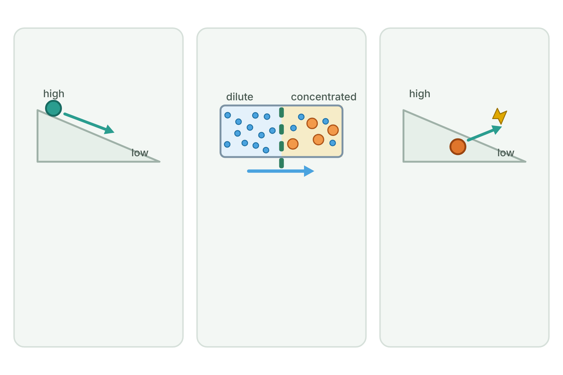 Three pictures with no labels: a ball rolling downhill, water crossing a membrane, and a ball pushed uphill.