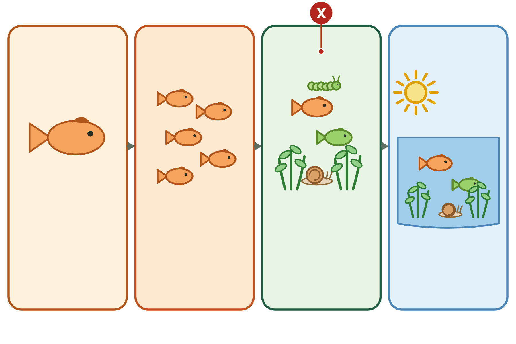 Four levels of organisation with a pointer marked X to the community.