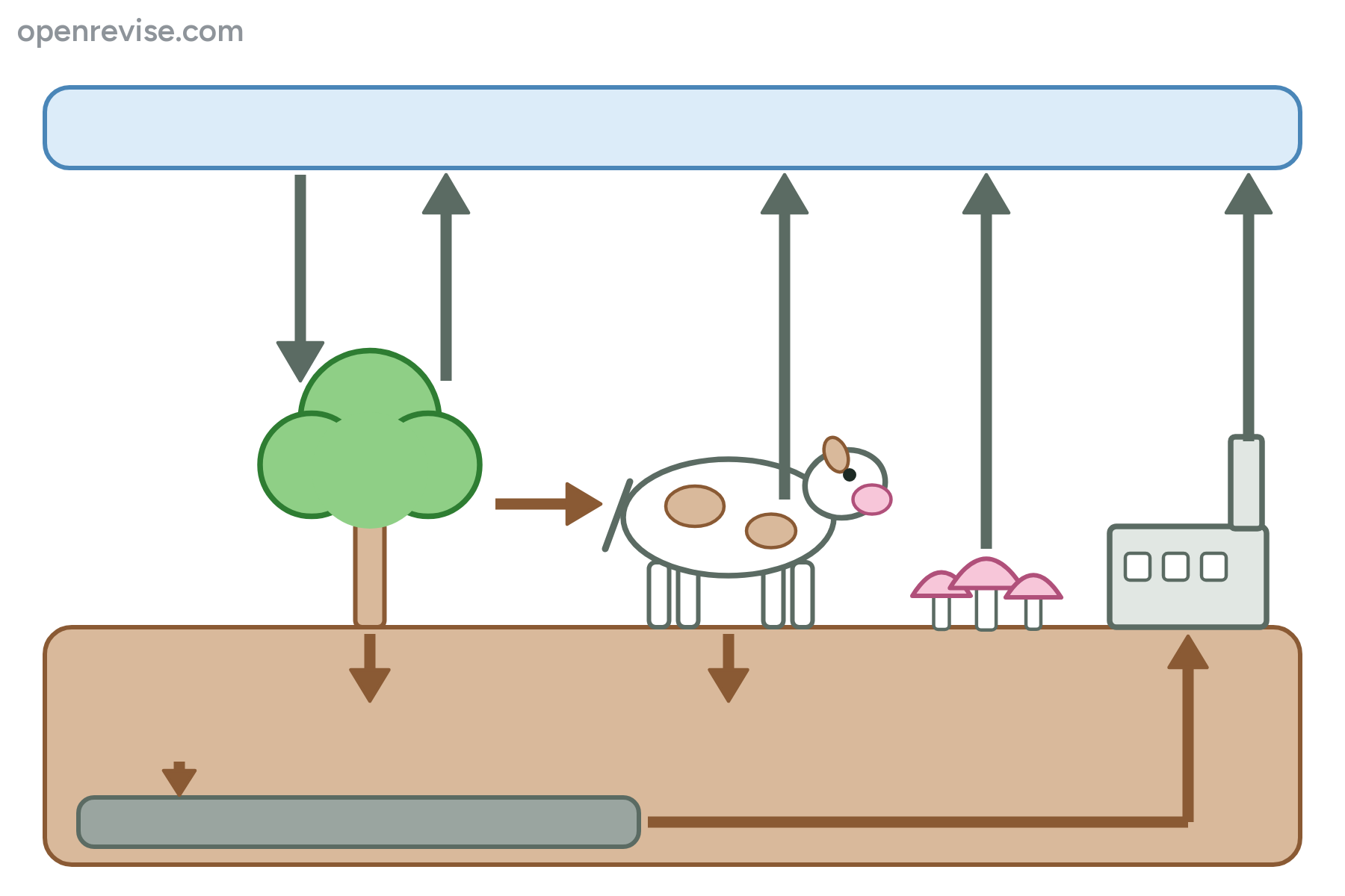 The carbon cycle with no labels.