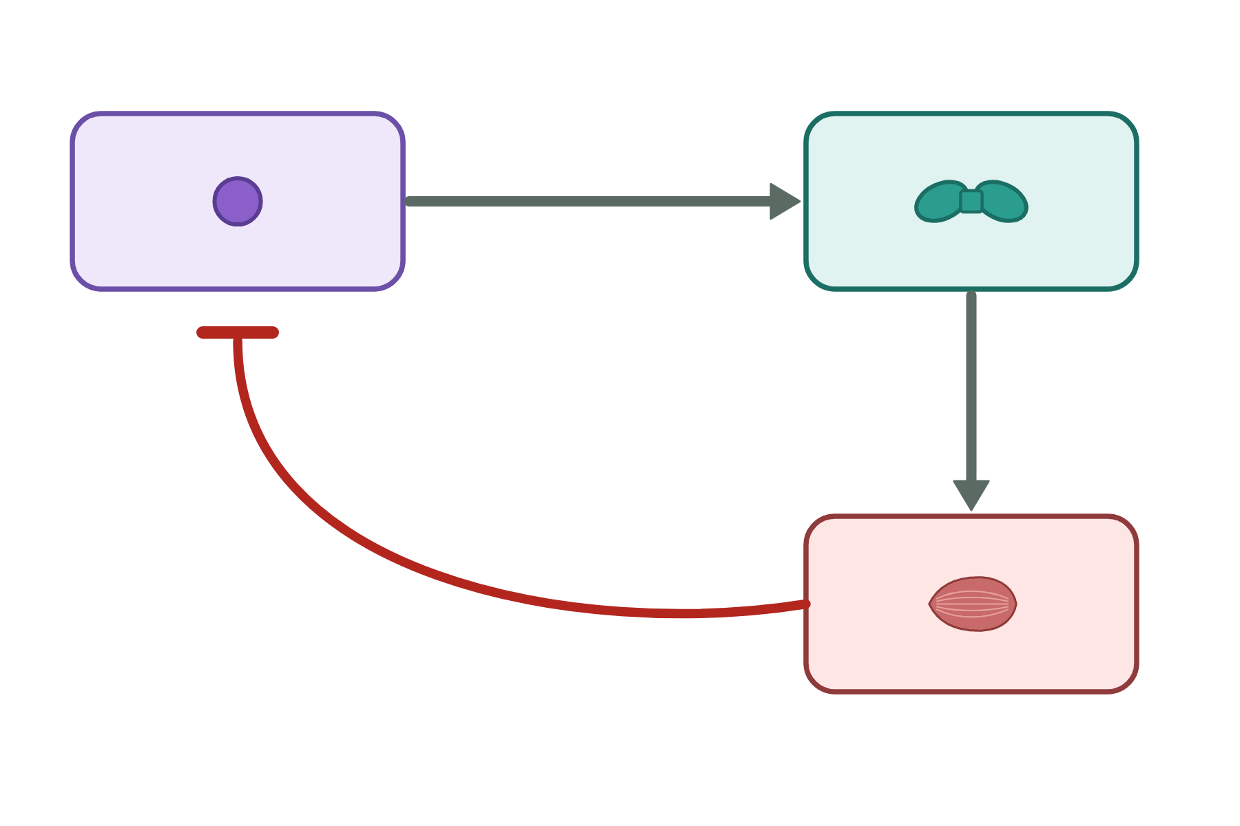 A negative feedback loop with no labels.