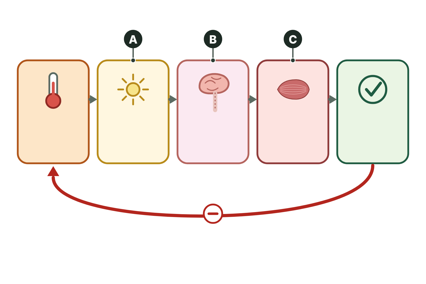 A temperature control loop with three boxes marked A, B and C.