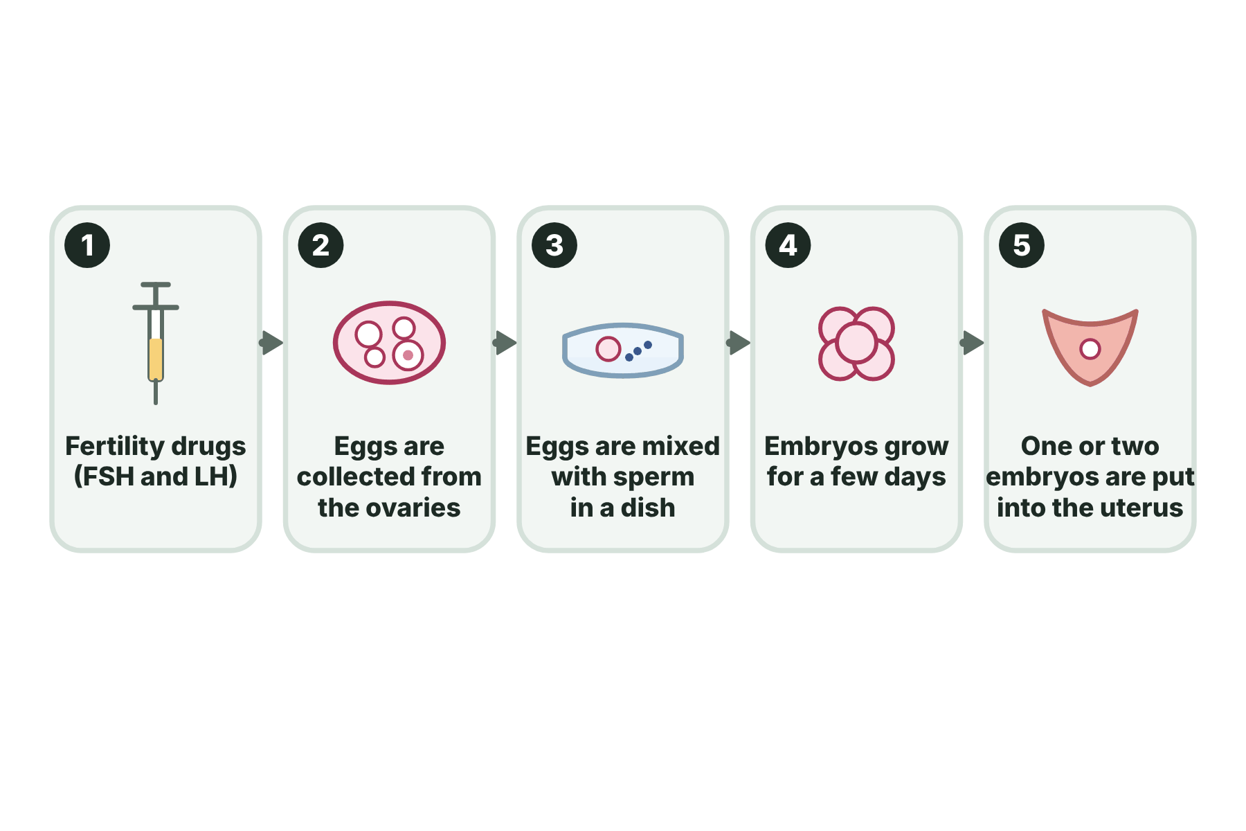 A flow chart of the five stages of IVF, from fertility drugs to an embryo being placed in the uterus.