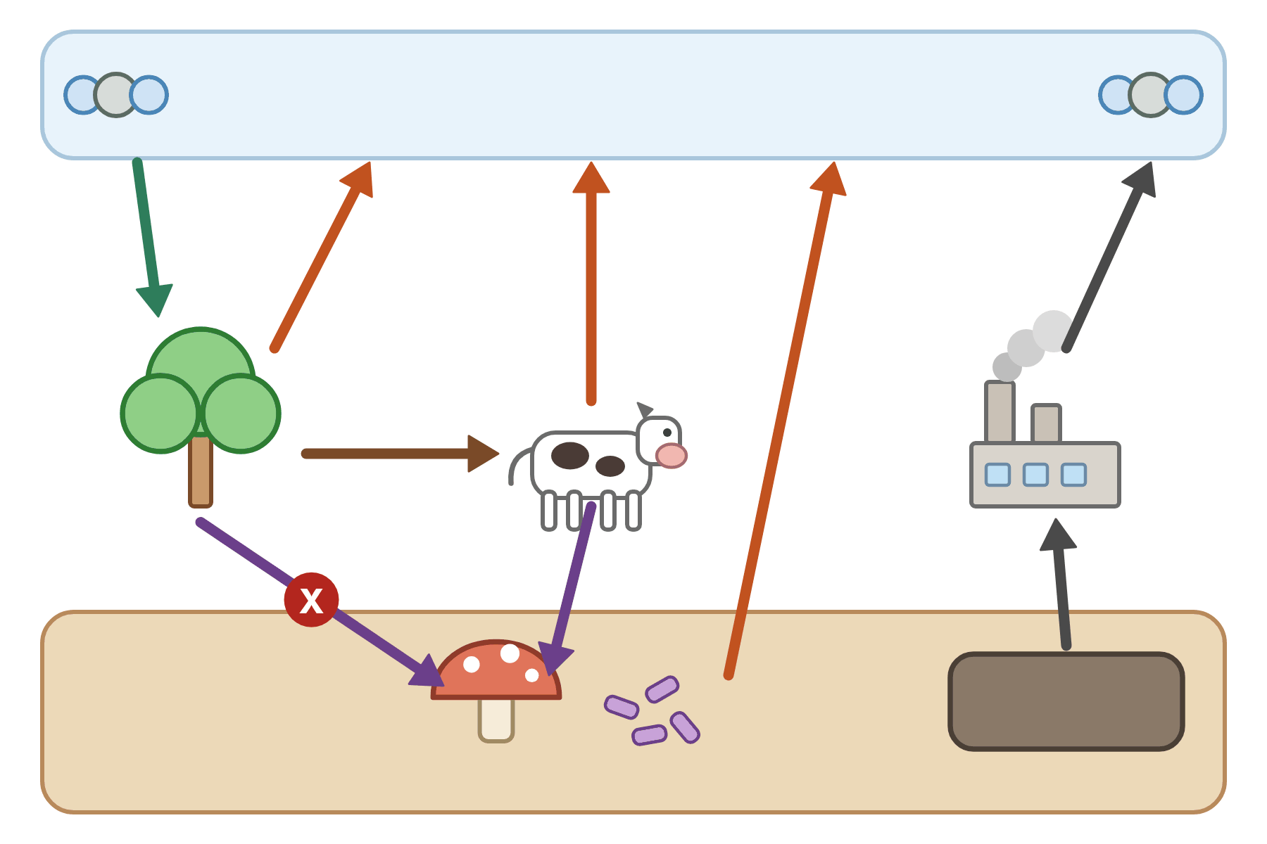 The carbon cycle with a pointer marked X on the arrow from a tree to the decomposers.