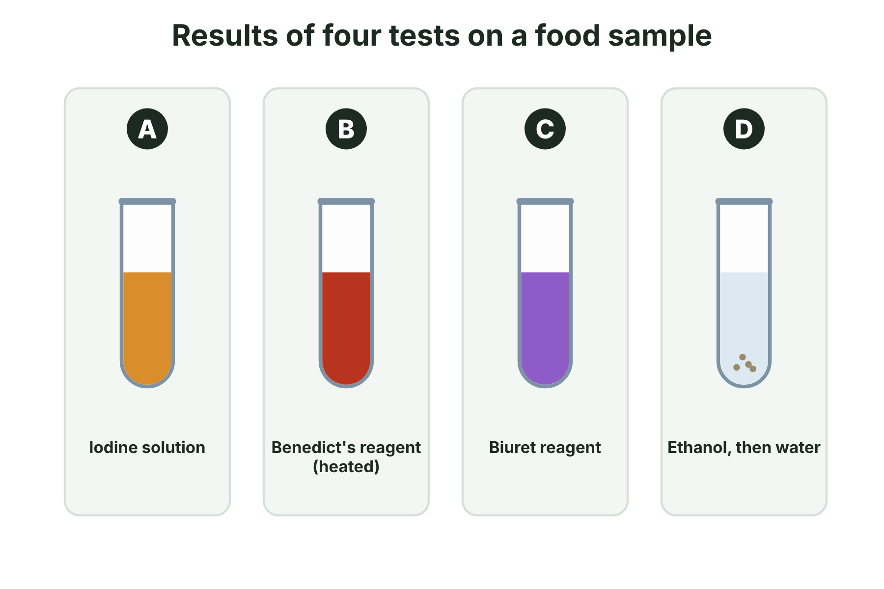 Four test tubes after tests with iodine, Benedict's reagent, Biuret reagent and ethanol.