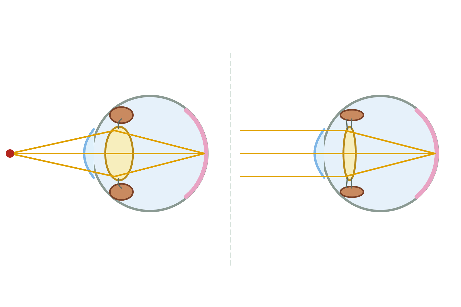 Two eyes focusing on near and distant objects, with no labels.