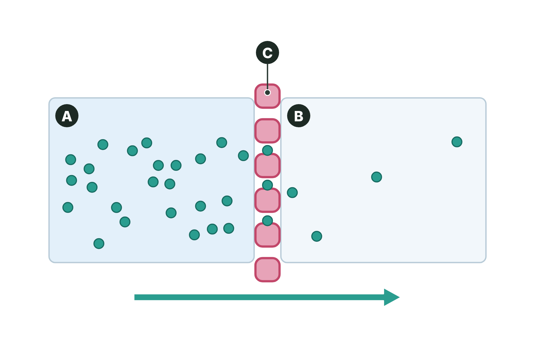 Many particles on one side of a membrane and few on the other, with the two sides and the membrane marked A, B and C.