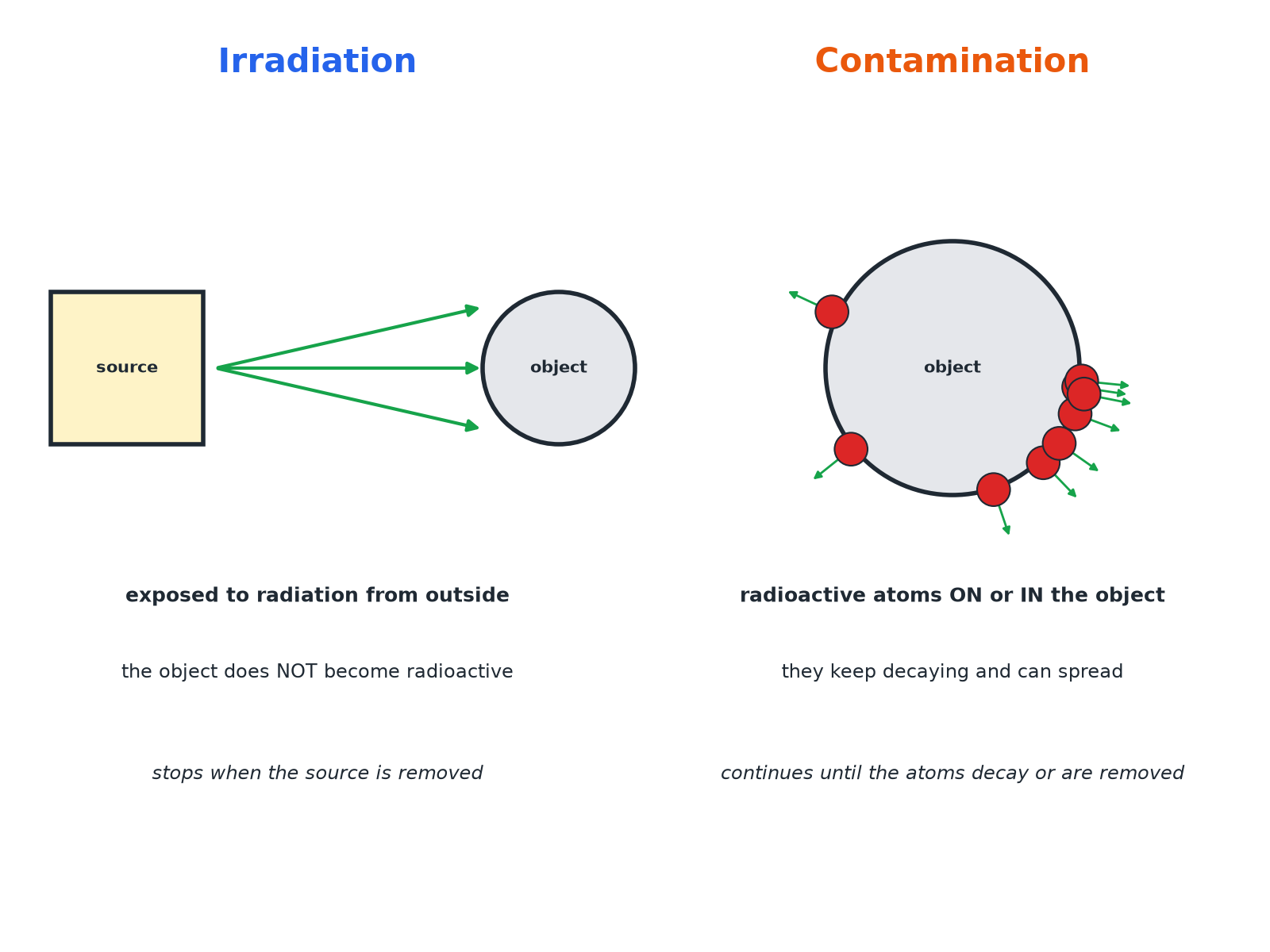 Irradiation by an external source compared with contamination by radioactive atoms on an object.