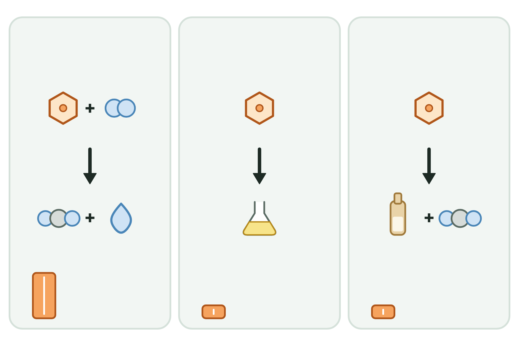 Three respiration equations drawn with icons and no labels.