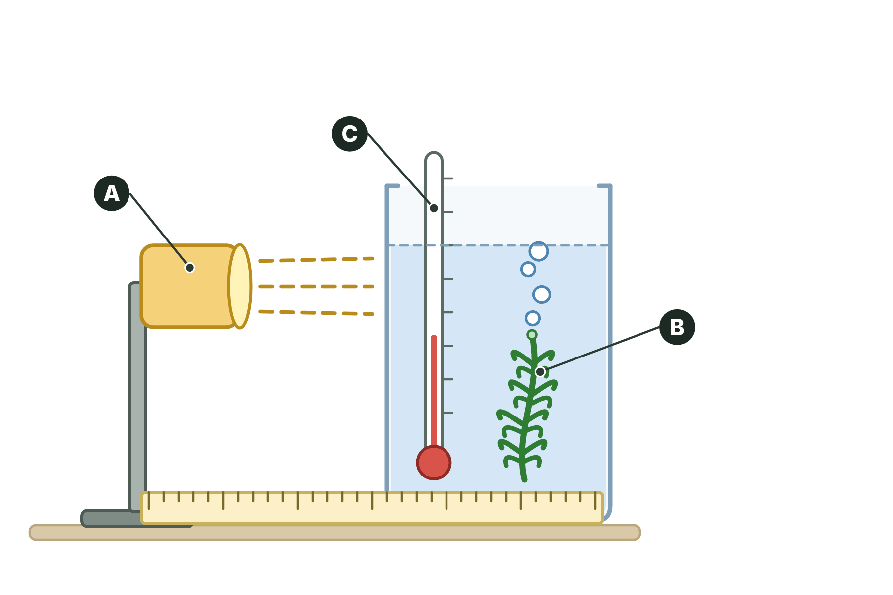 The apparatus with three parts marked A, B and C.