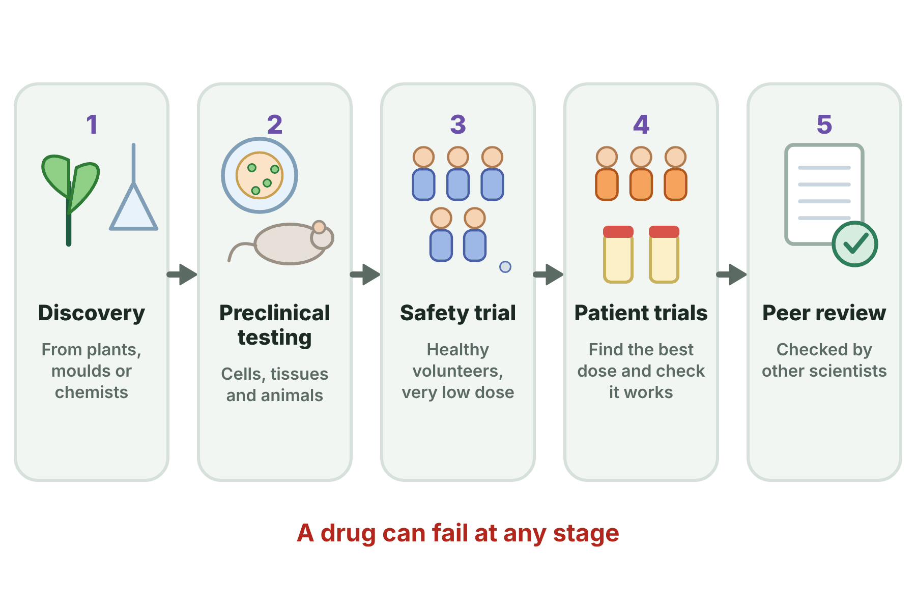 A five-stage pipeline showing discovery, preclinical testing, a safety trial with healthy volunteers, patient trials and peer review.