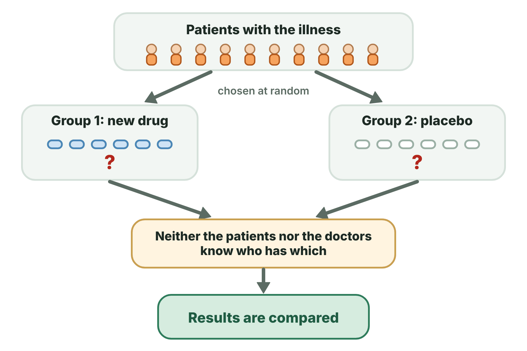 A flow diagram of a double-blind trial in which patients are randomly split between the drug and a placebo and neither patients nor doctors know who has which.