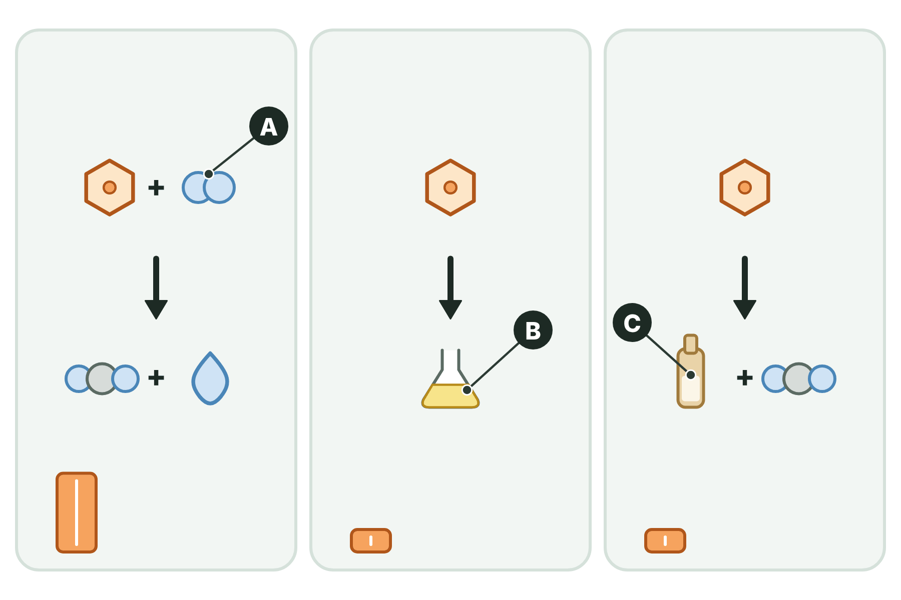 Three respiration equations drawn with icons, with three substances marked A, B and C.