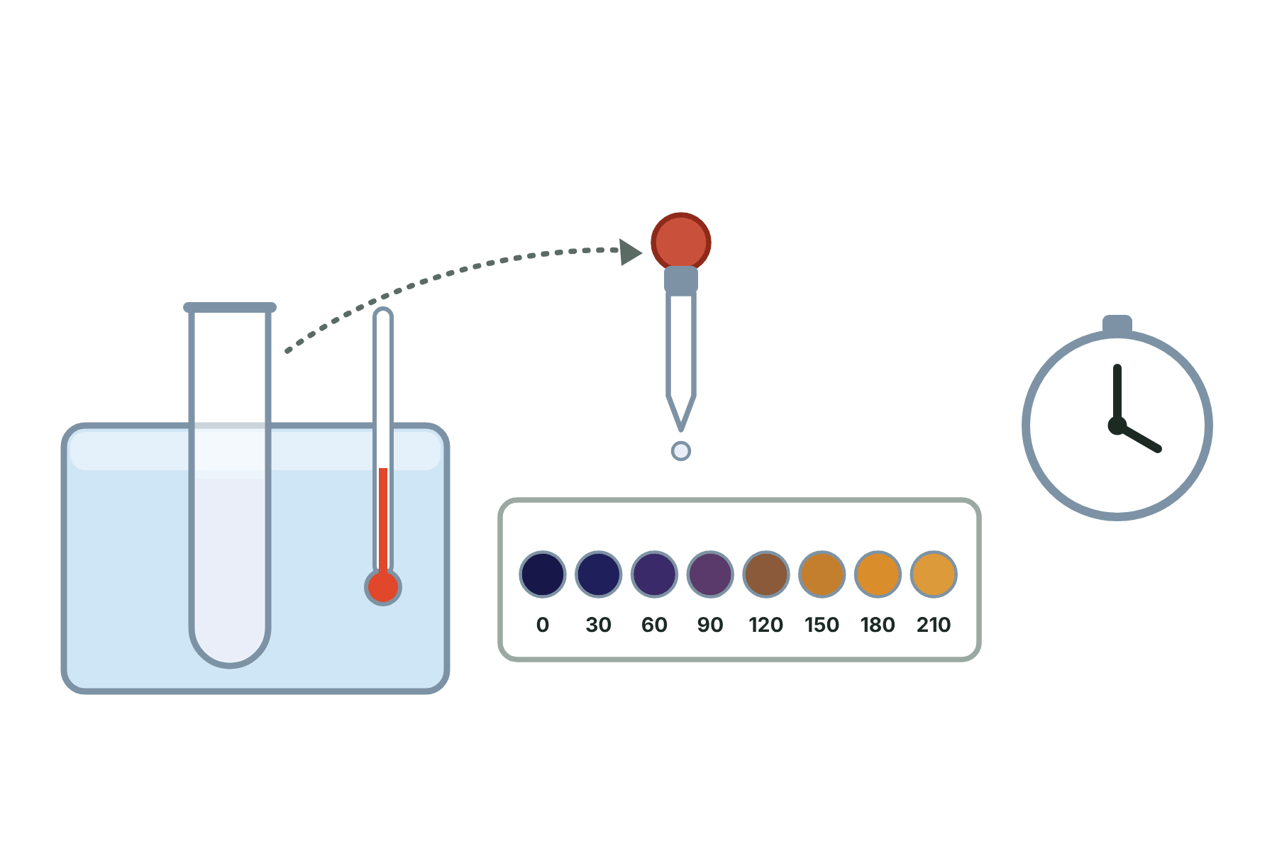 A water bath, test tube, thermometer, dropping pipette, spotting tile with eight drops and a stopwatch, with no labels.
