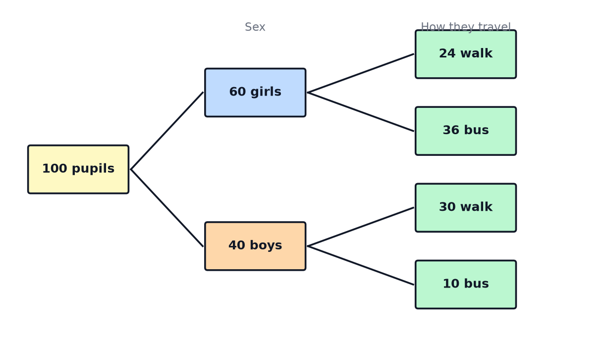 A frequency tree showing 100 pupils split into 60 girls and 40 boys, and then into those who walk and those who go by bus.