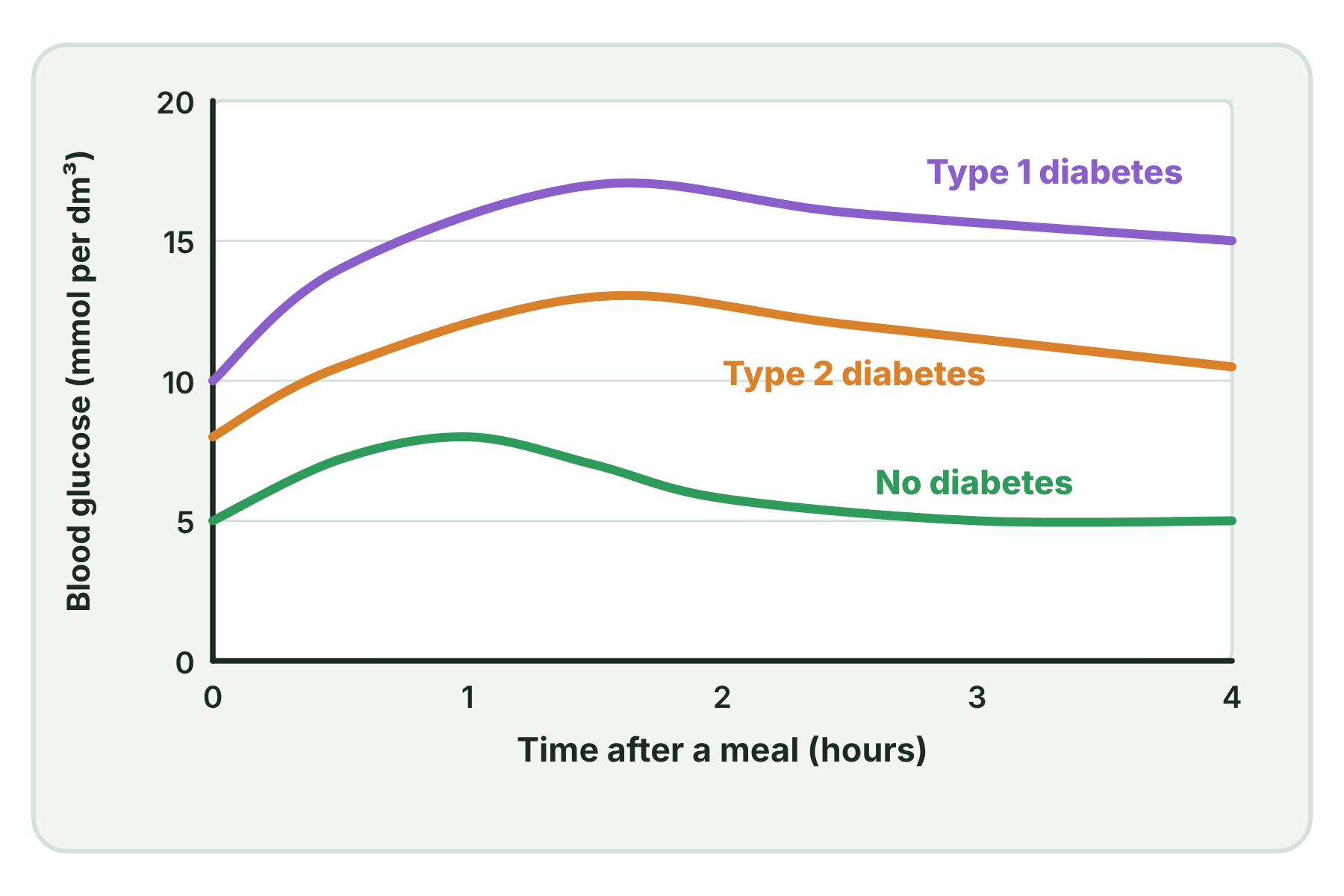 A graph of blood glucose after a meal showing a normal curve that returns to normal, and curves for type 1 and type 2 diabetes that stay high.