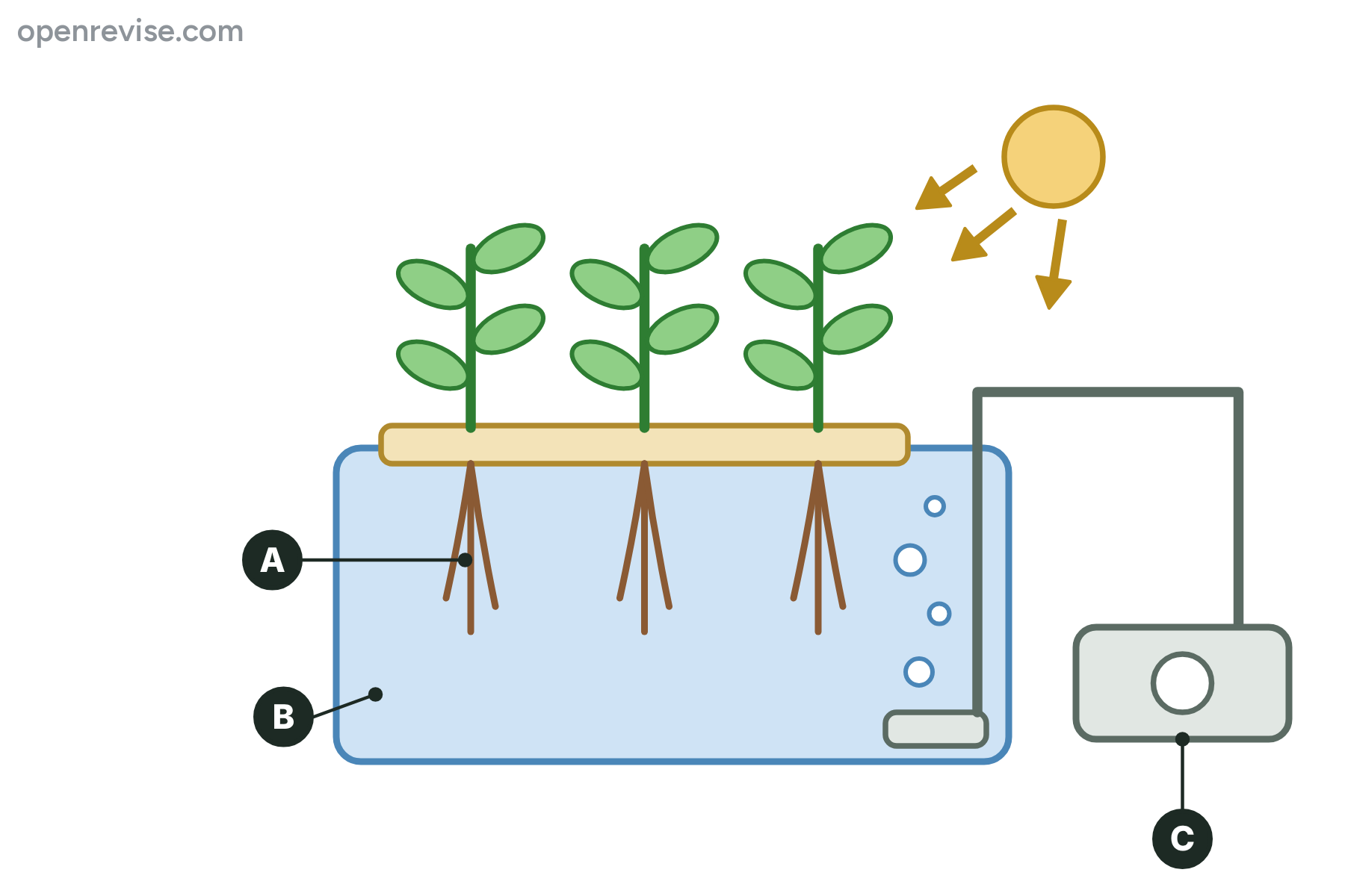 A hydroponics tank with the roots, the solution and the pump marked A, B and C.