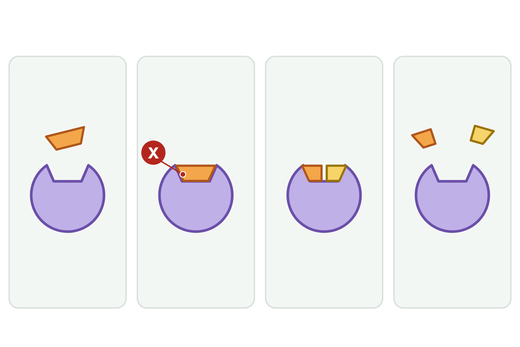 The four stages of an enzyme reaction with a marker X on the place where the substrate sits.