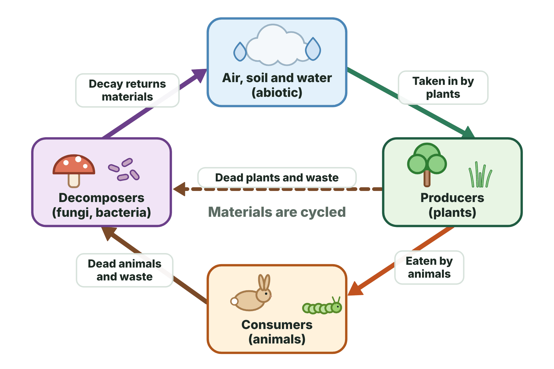 A cycle in which plants take materials from the air, soil and water, animals eat plants, and decomposers return the materials from dead plants, dead animals and waste to the air, soil and water.