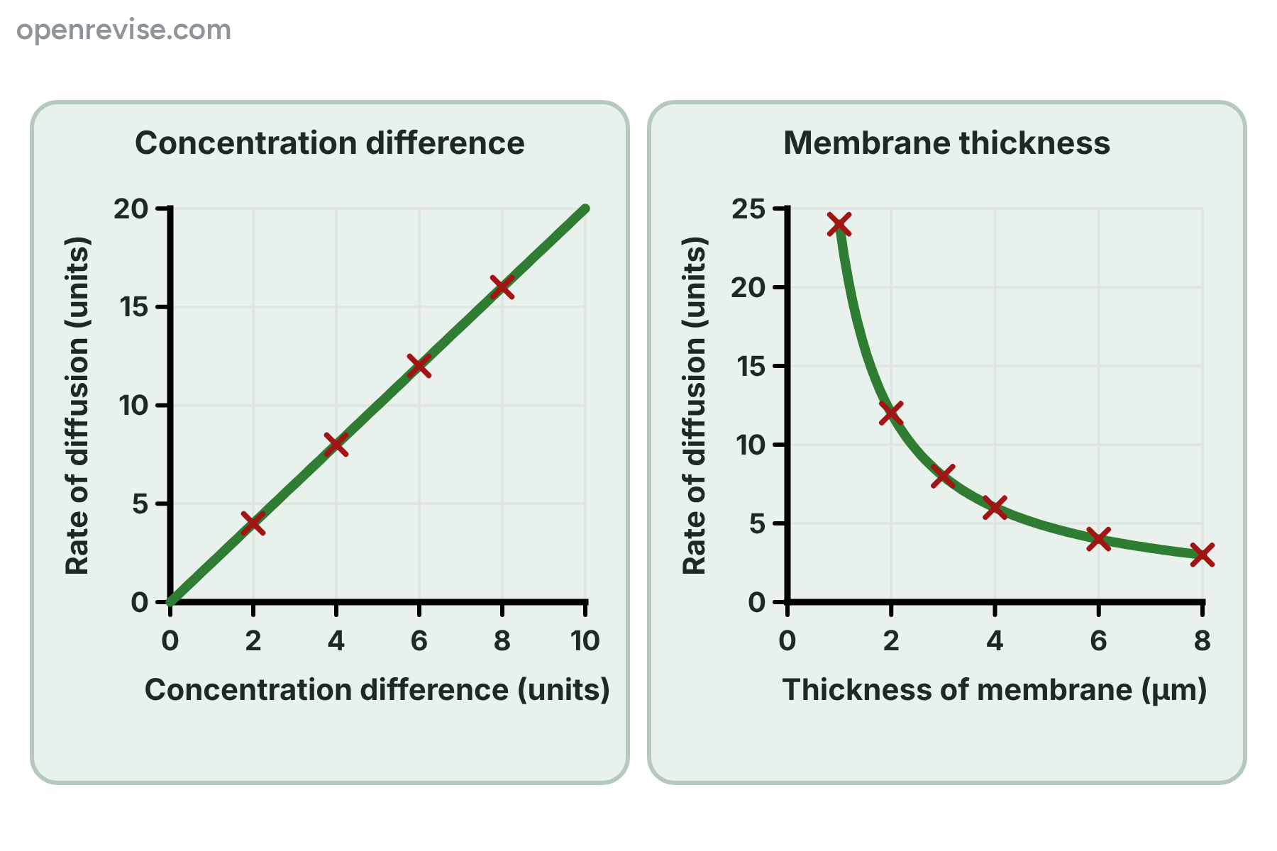 A straight line through the origin showing that rate is proportional to concentration difference, and a falling curve showing that rate decreases as membrane thickness increases.