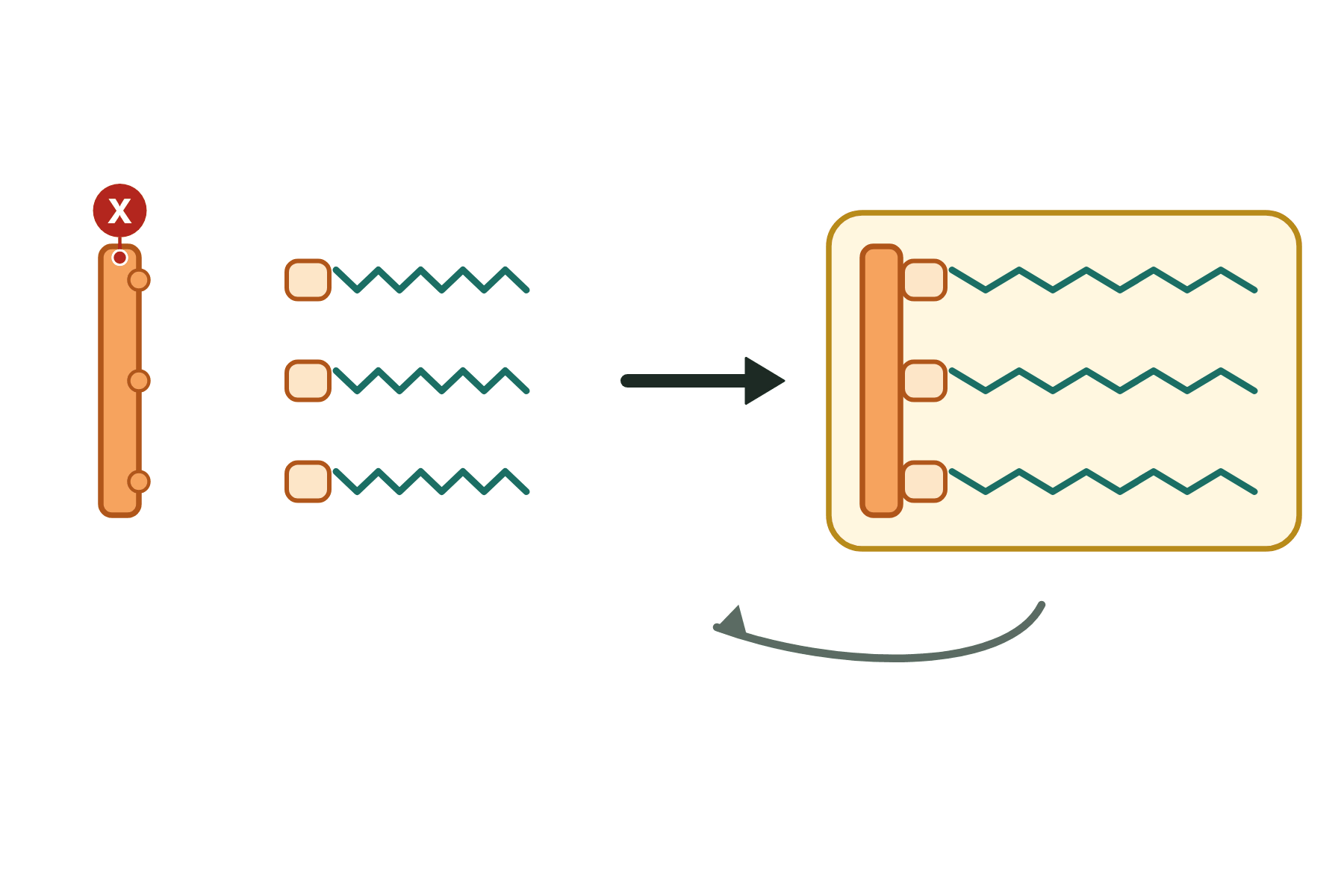 A lipid being made with a pointer marked X to the glycerol.