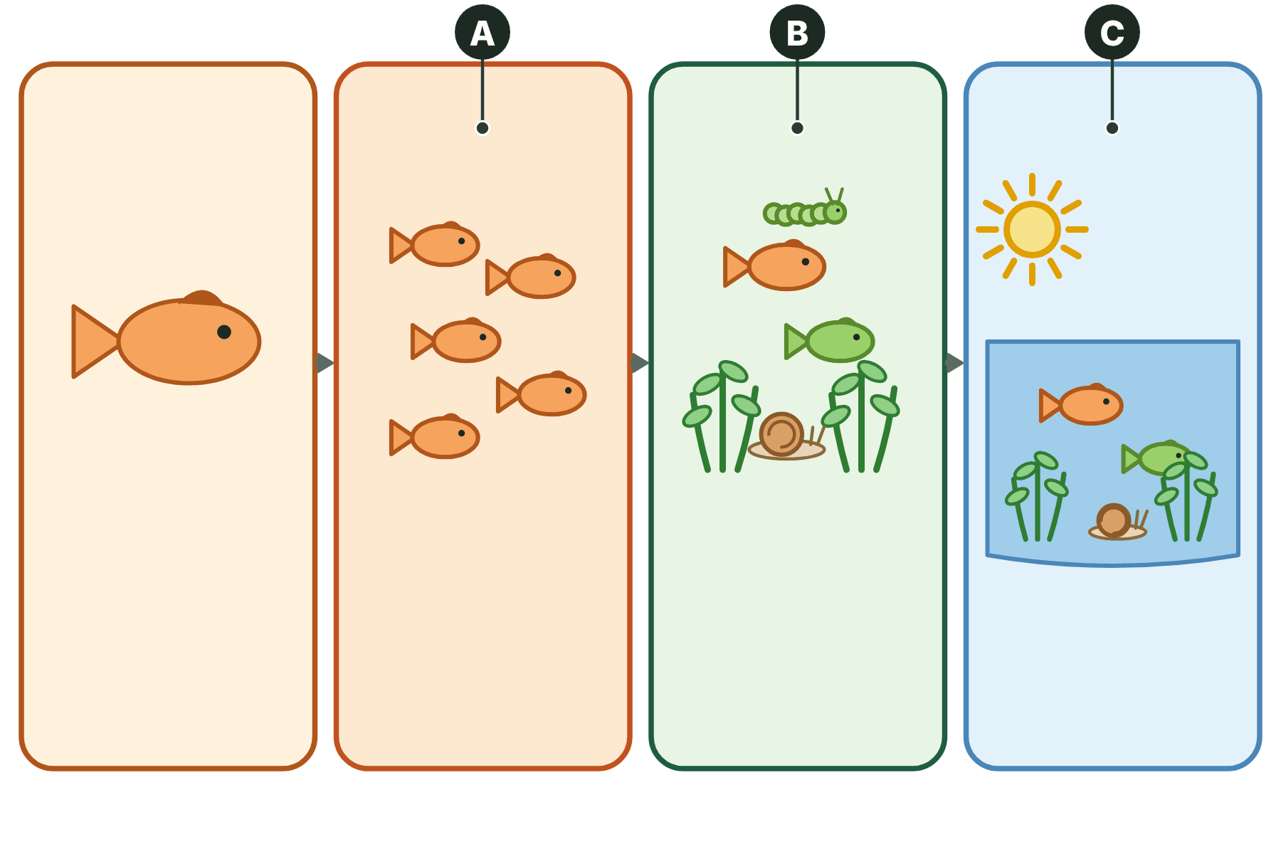 Levels of organisation with three panels marked A, B and C.