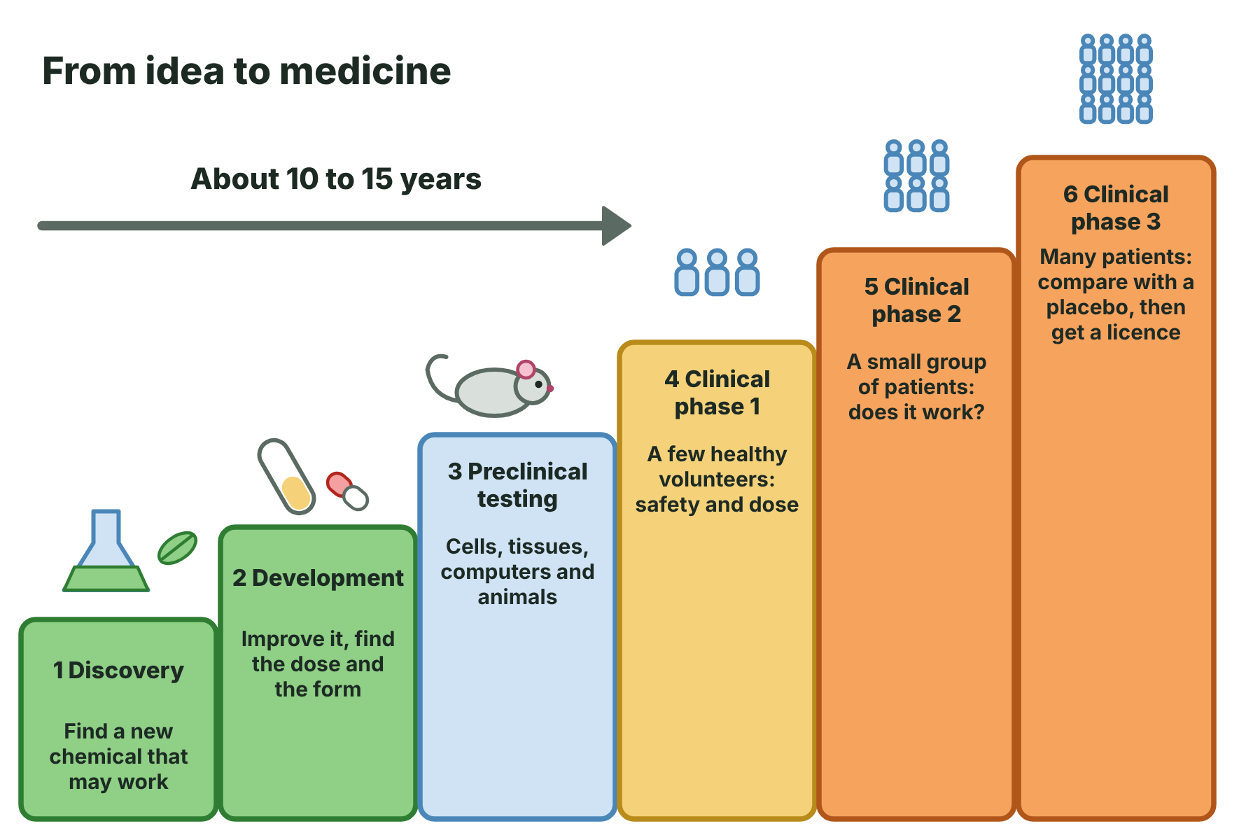 A staircase of six steps showing discovery, development, preclinical testing and clinical trials in three phases leading to a licence for a new medicine.