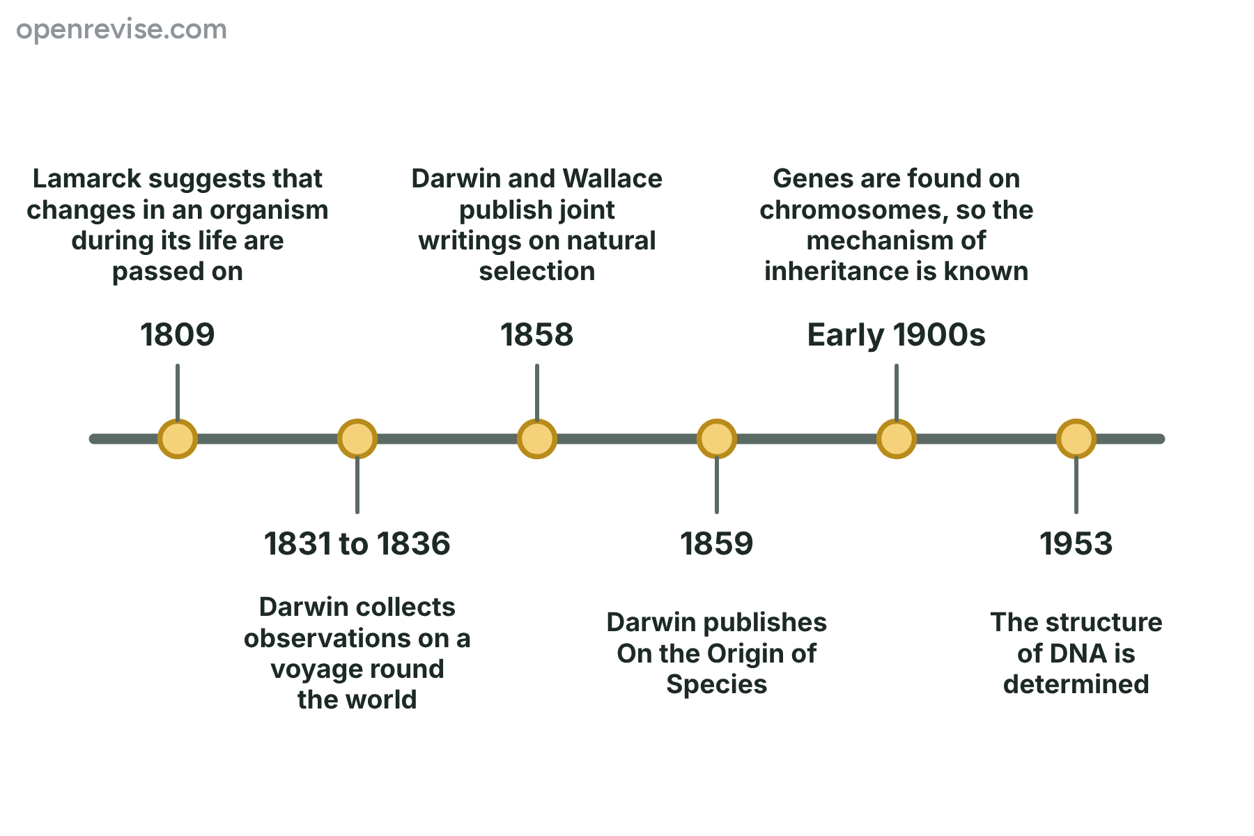 A timeline from 1809 to 1953 showing Lamarck, Darwin's voyage, the Origin of Species and the discovery of genes and DNA.