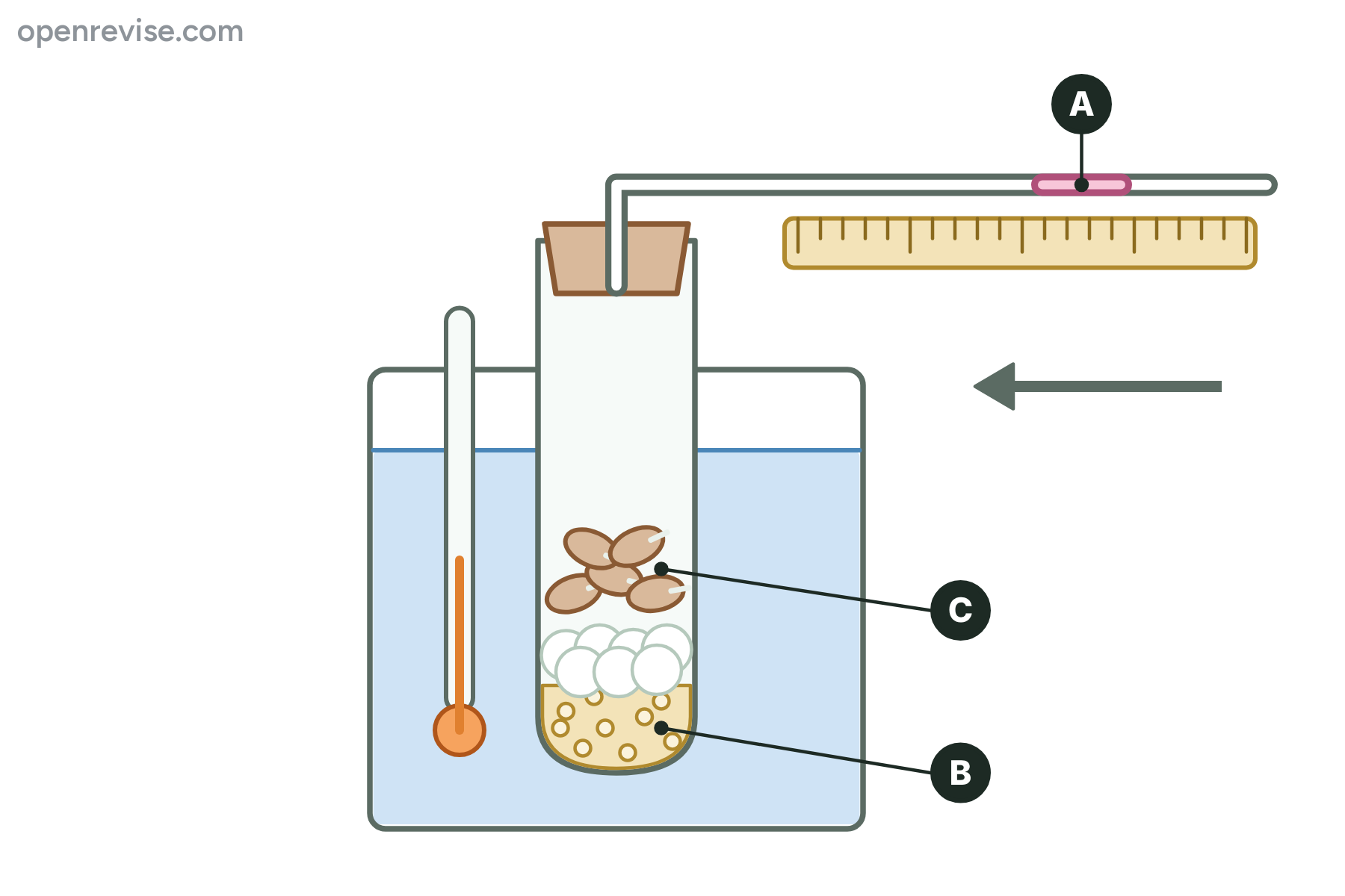 A respirometer with the coloured drop marked A, the soda lime marked B and the seeds marked C.