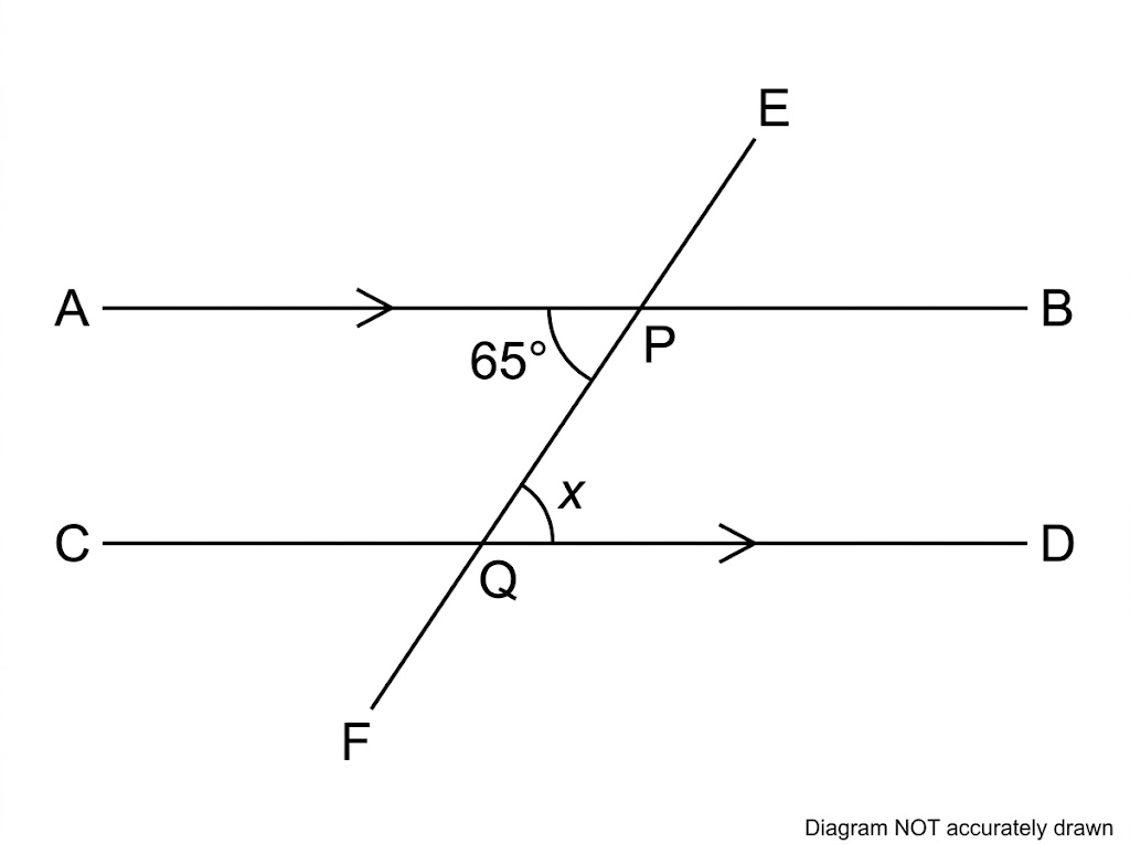 Two parallel lines AB and CD crossed by a line EF at P and Q, with angle APQ marked 65 degrees and angle PQC marked x.