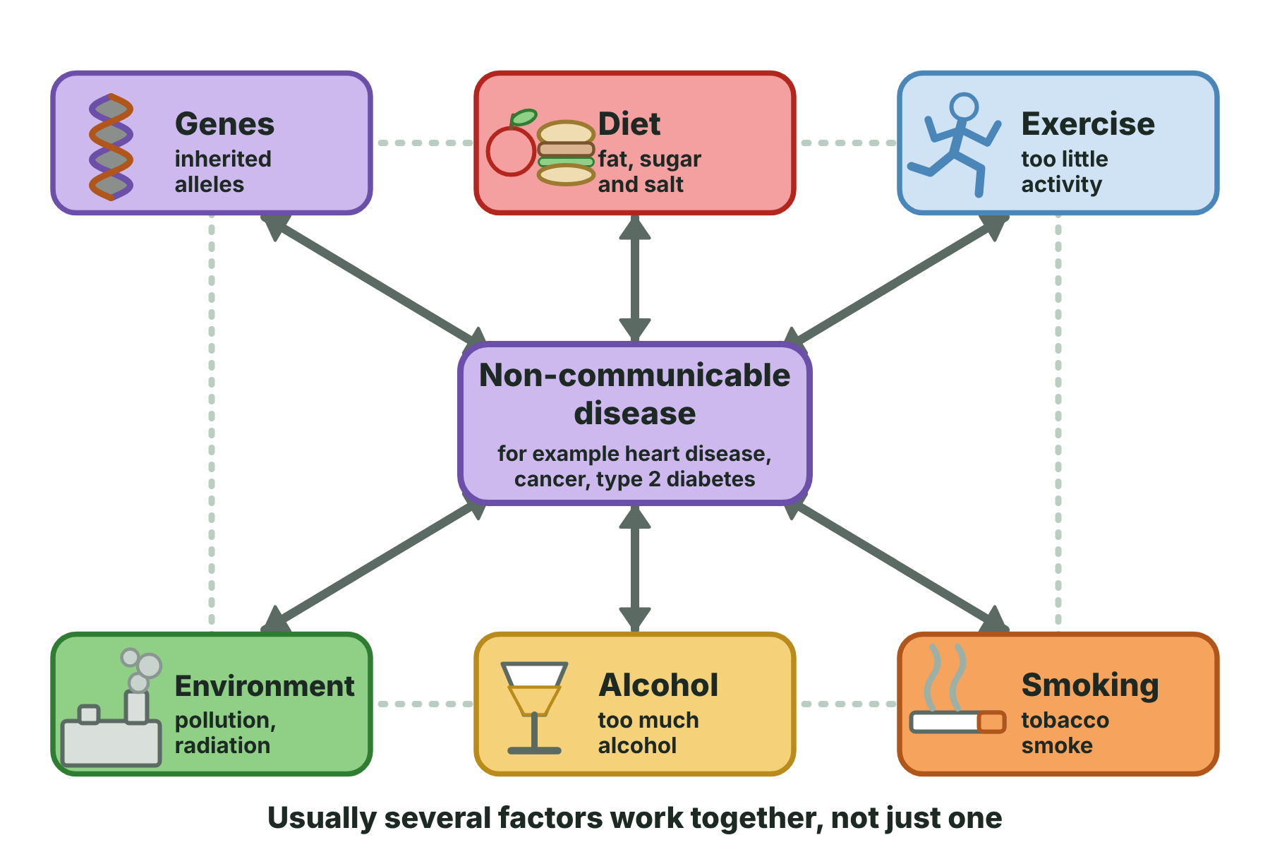 A diagram showing genes, diet, exercise, smoking, alcohol and the environment all interacting to cause a non-communicable disease.