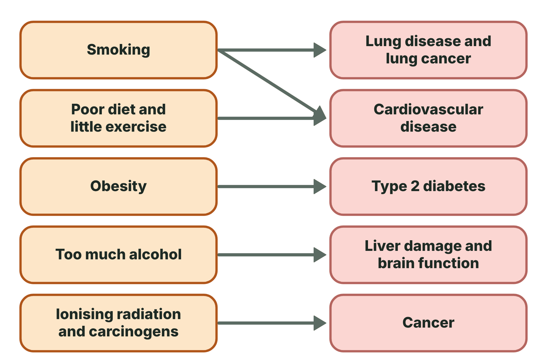 A diagram linking risk factors such as smoking, poor diet, obesity, alcohol and ionising radiation to the diseases they make more likely.
