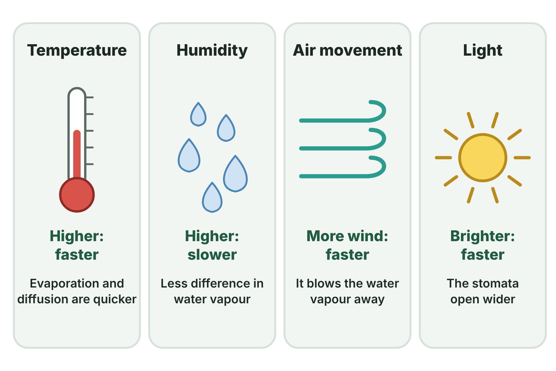 Four panels showing that transpiration is faster at a higher temperature, in lower humidity, with more air movement and in brighter light.