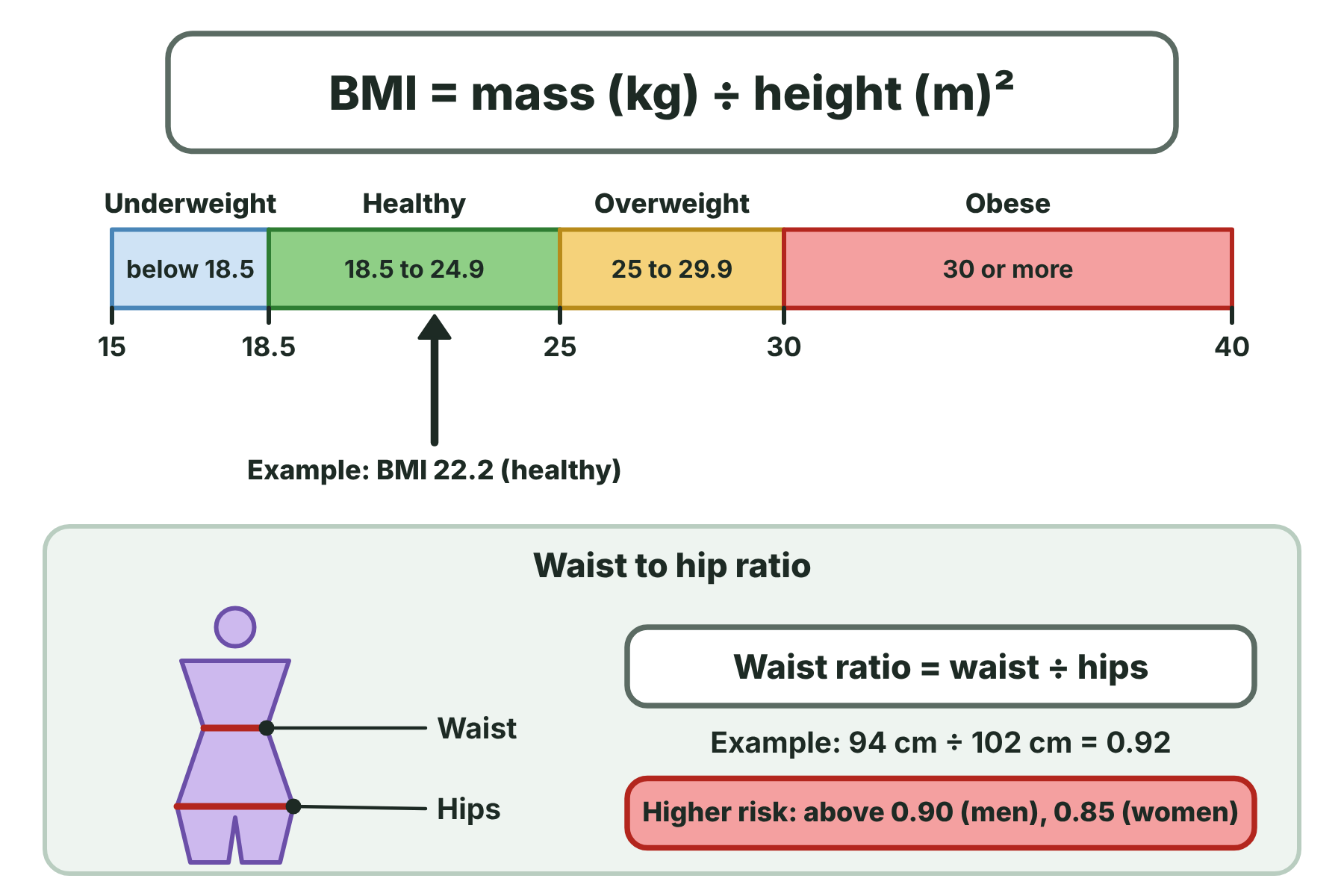 The BMI equation with a colour scale from underweight to obese, and a person outline showing the waist and hip measurements used in the waist to hip ratio.