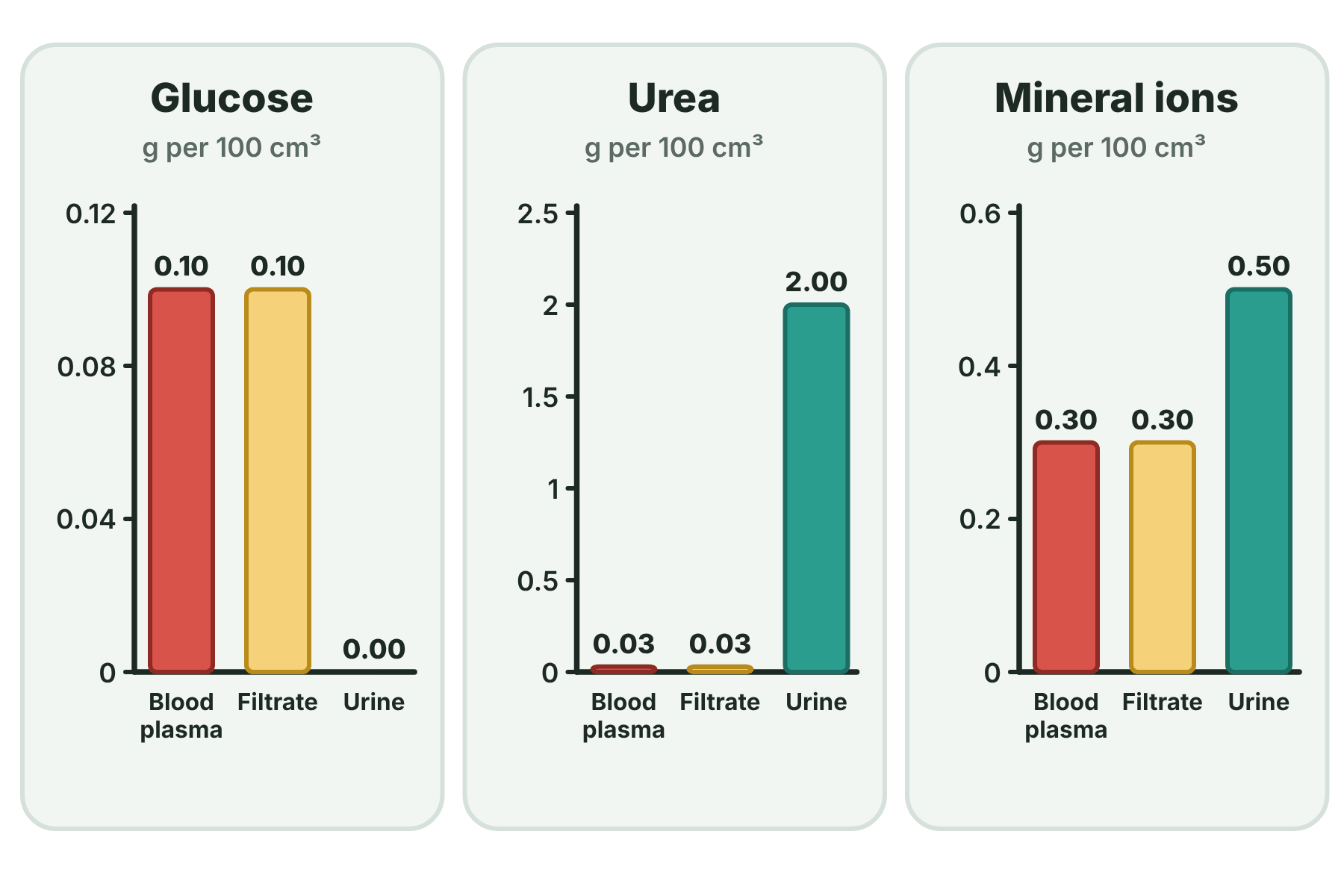 Bar charts of the concentrations of glucose, urea and mineral ions in blood plasma, filtrate and urine.