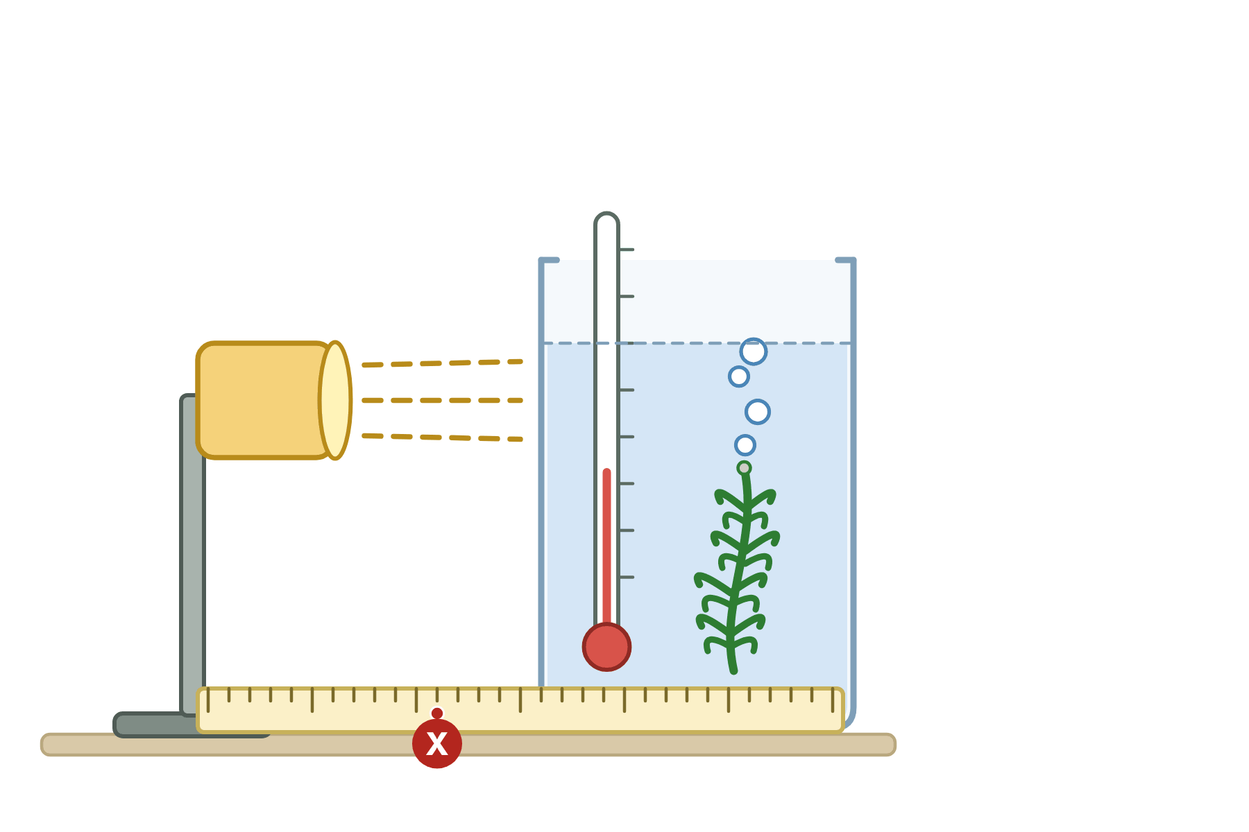 The apparatus with a pointer marked X to the ruler.