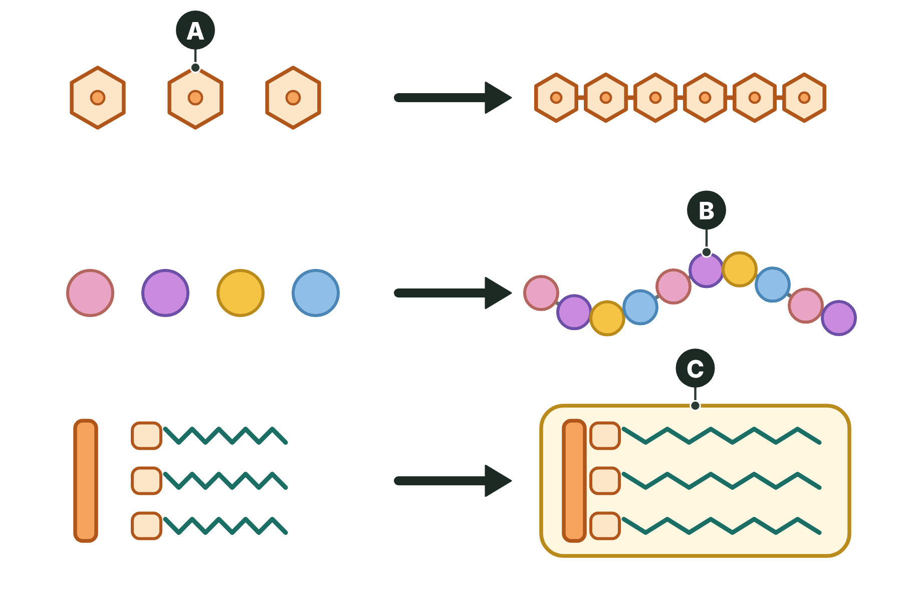 Three rows of molecules joining, with three parts marked A, B and C.