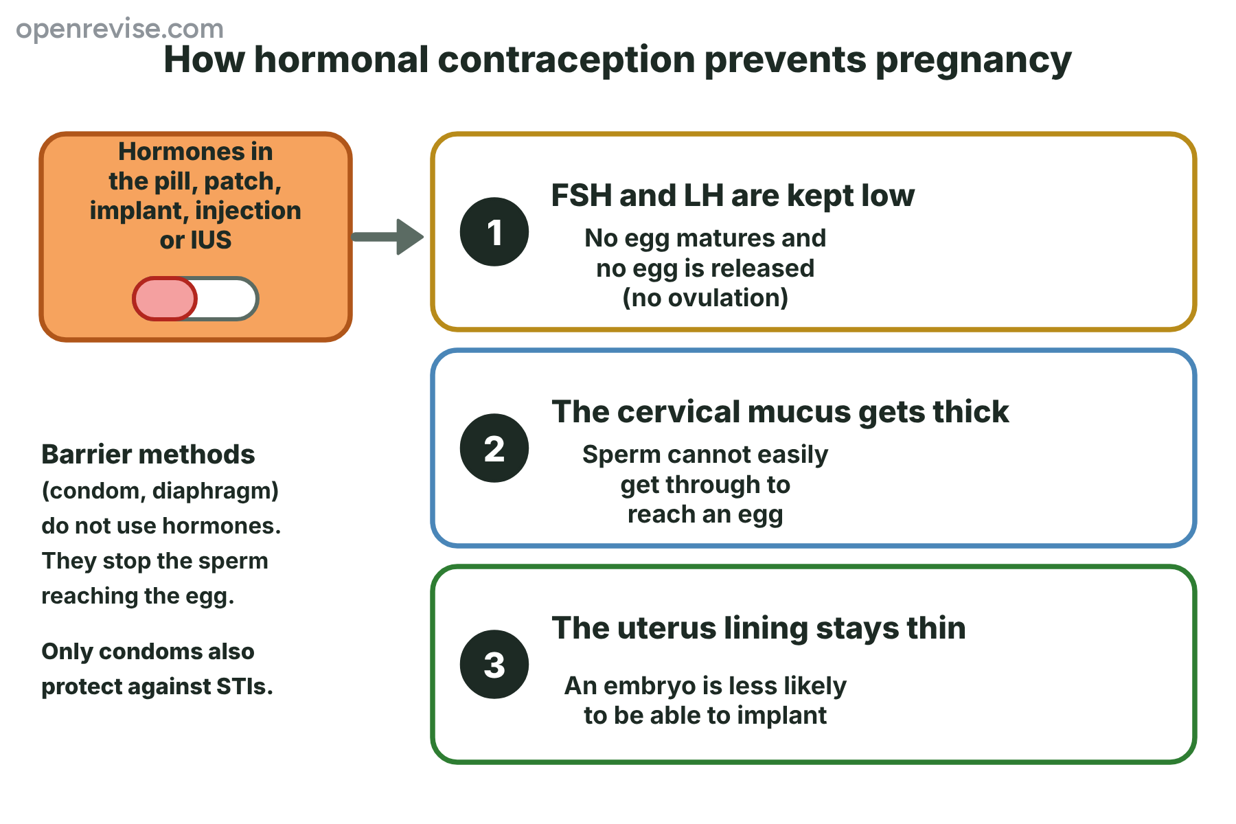 Hormonal contraception keeps FSH and LH low so that no egg is released, thickens the mucus so that sperm cannot get through, and keeps the lining of the uterus thin.