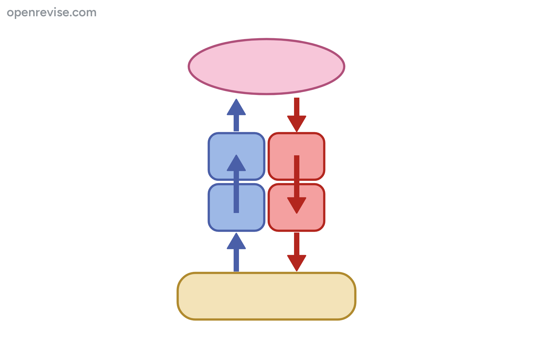 A flow diagram of the heart, lungs and body with no labels.