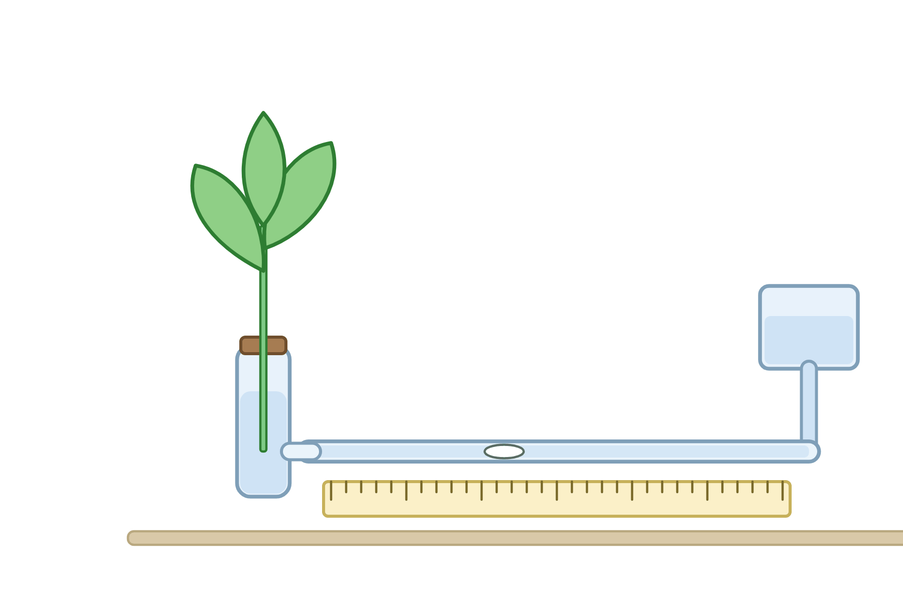 A potometer with no labels.