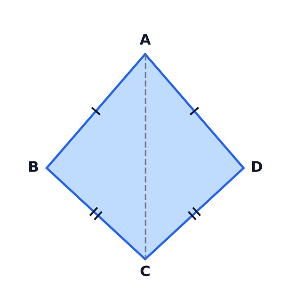 A kite ABCD with AB equal to AD, BC equal to DC and the diagonal AC drawn.