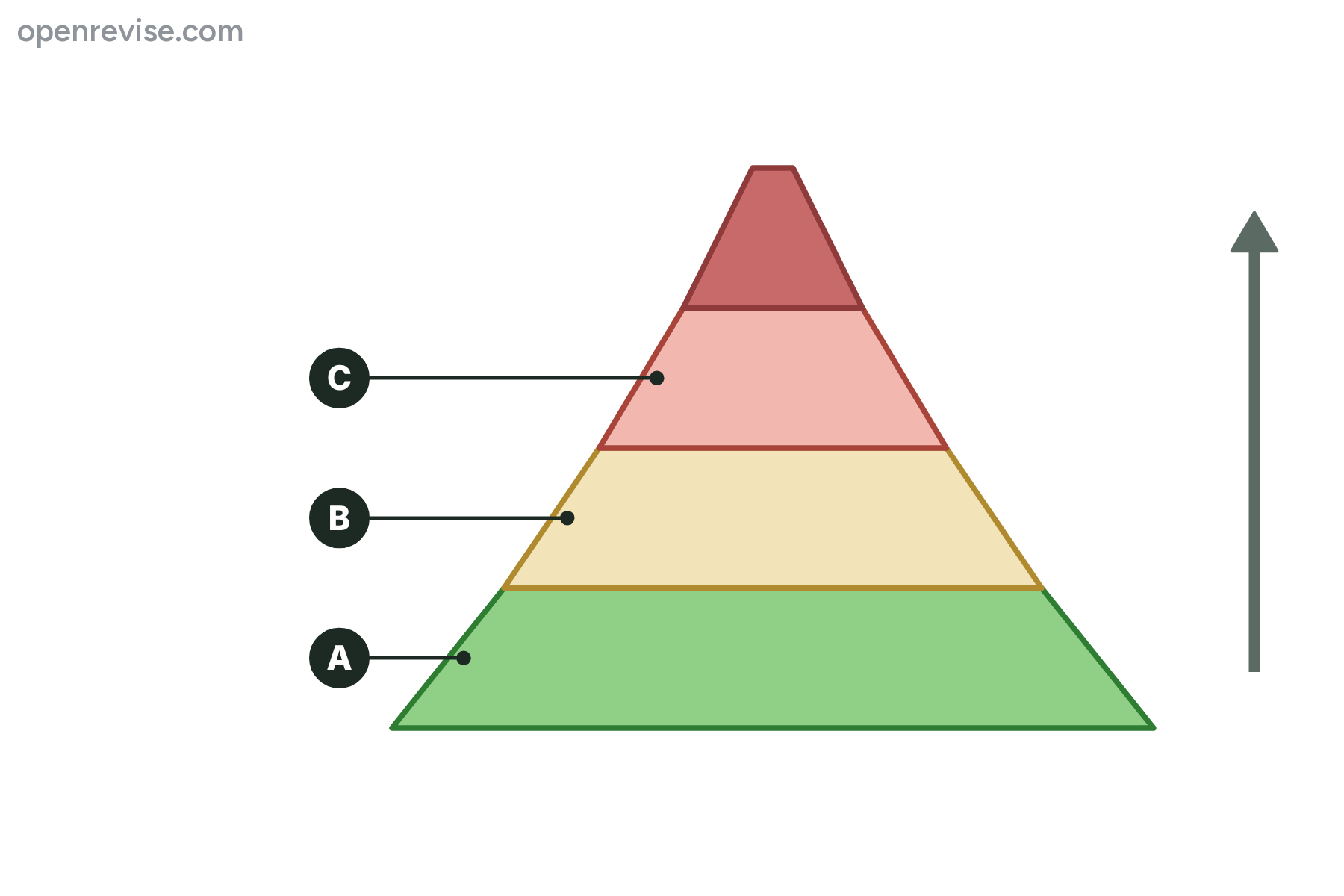 A pyramid of biomass with three layers marked A, B and C.